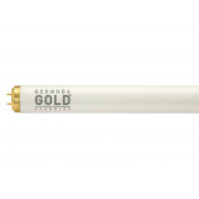 Bermuda Gold® Two Color R10/20 Solariumröhren 100 Watt 2,0%
