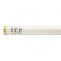 Bermuda Gold® 600 16 Solariumröhren 100 Watt 1,6%